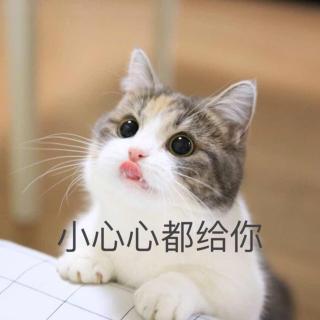 Hello～如果你想学日语～请接好这份安利～