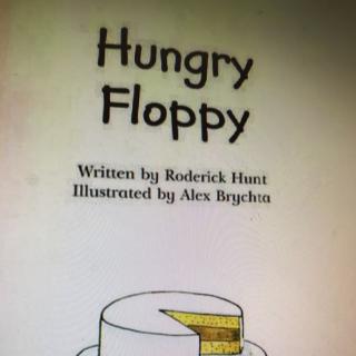 hungry floppy