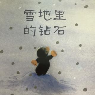 雪地里的钻石