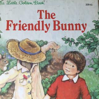 The friendly bunny