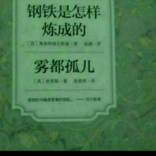 《钢铁是怎样炼成的》——第二部第二章（1）