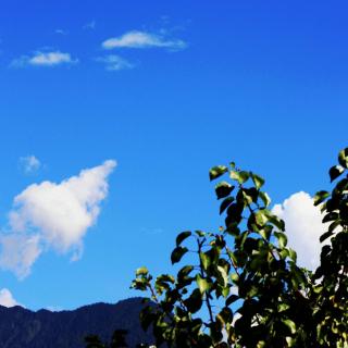 写给雨的情书——（诗BY彭婧瑄）