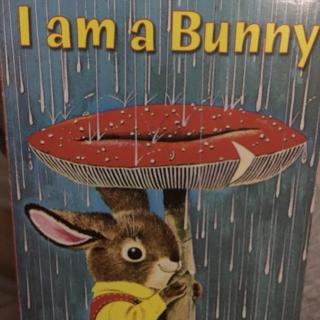 I am a bunny