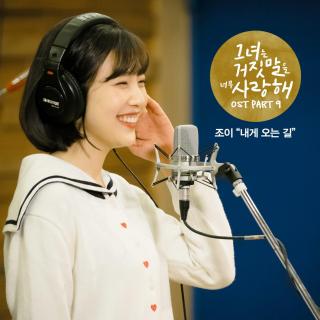 【韩剧《她爱上了我的谎》OST.Part.9】Joy-走向我的路
