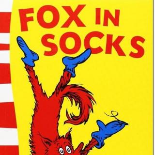05 Fox in Socks
