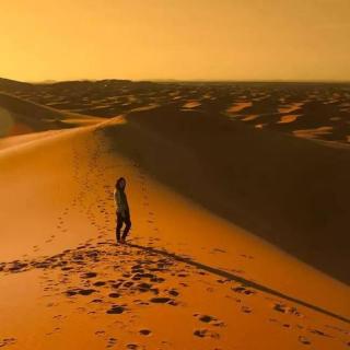 【阅读】每想你一次，天上飘落一粒沙，从此形成了撒哈拉