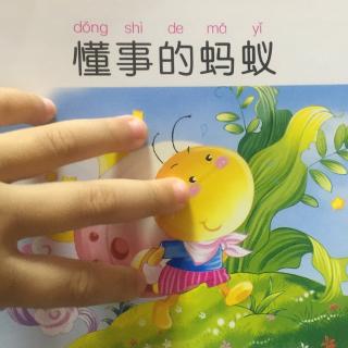 懂事的蚂蚁