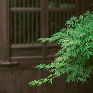 20170510《山中花开》3-1清贫的生活