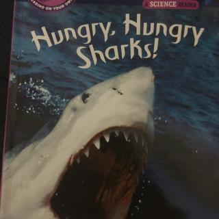 Hungry Hungry sharks