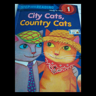 168兰登15.City Cats，Country Cats