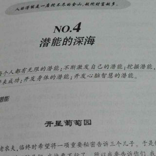 羊皮卷之四NO.4《潜能的深海》节选