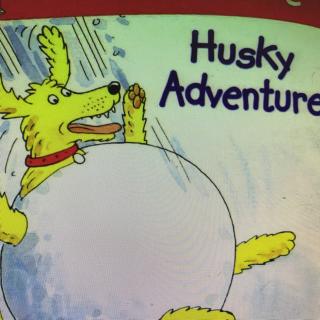 husky adventure