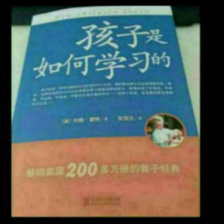 孩子学习 第五章 孩子如何学绘画、数学及其他知识