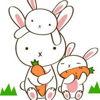 只爱吃胡萝卜的小兔子