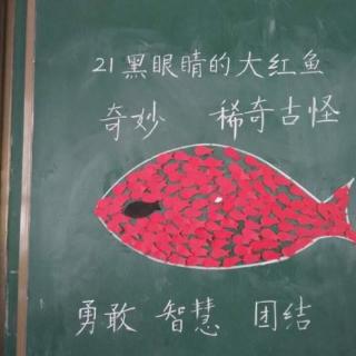 《黑眼睛的大紅魚》