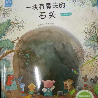 《一块有魔法的石头》    磁与磁铁