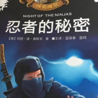 night of the ninjas1-3