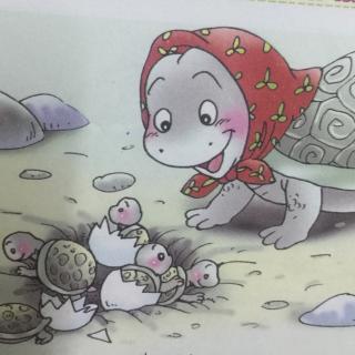 【致母亲节】园长妈妈讲故事——乌龟妈妈的快乐