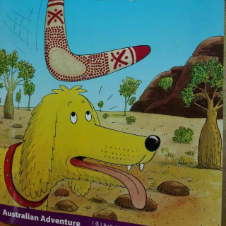 Australian Adventure