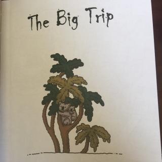 The Big Trip