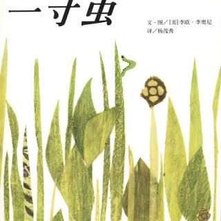 再小的个体都有本领《一寸虫》---兜兜妈妈