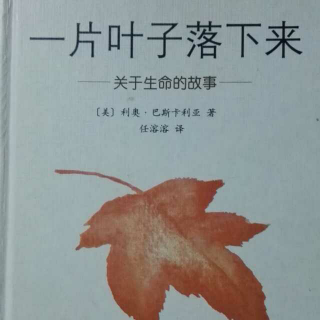 一片叶子落下来