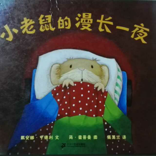 小老鼠的漫长一夜