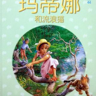 44.玛蒂娜和流浪猫