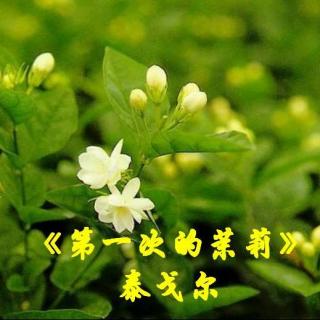 《第一次的茉莉》泰戈尔