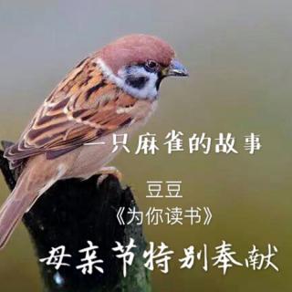 《一只麻雀的故事》