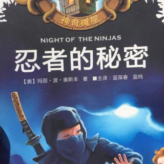 night of the ninjas4-5