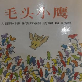 小美讲故事《毛头小鹰》讲述者：小美