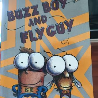 Buzz boy and fly guy