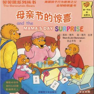 193 贝贝熊系列丛书33——母亲节的惊喜