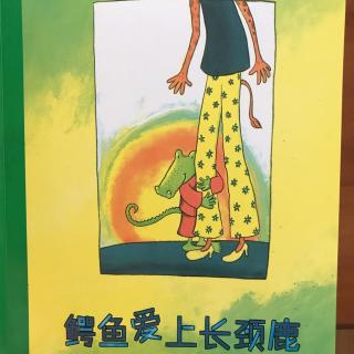 柷轶可－《鳄鱼爱上长颈鹿》