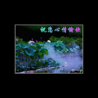 昨夜的雨今夜的你