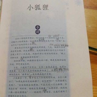 《小狐狸》