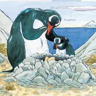 《海洋动物故事》小企鹅艾伯塔