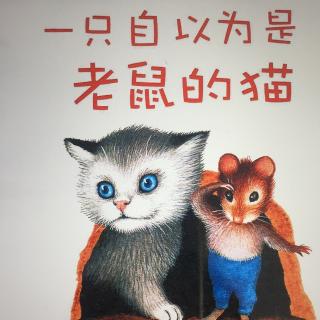 一只自以为是老鼠的猫