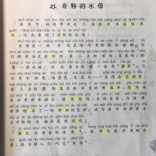 《奇特的水母》