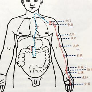 解剖感冒，沉着应对宝宝感冒发烧