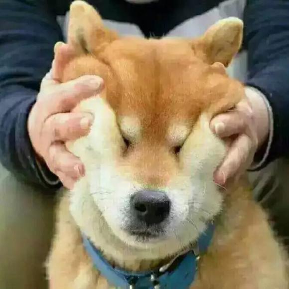 有些爱天长地久有些爱曾经拥有