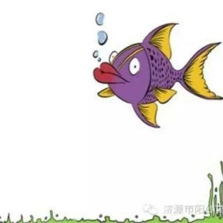 卡酷故事屋NO·77紫斑鱼的愤怒