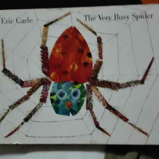 The  Very Busy Spider