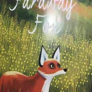 Faraway Fox