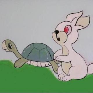 情侣龟兔头像图片
