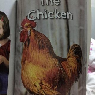 the chicken