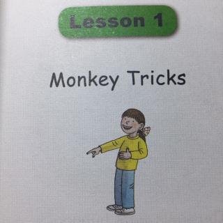 Monkey tricks