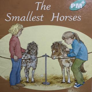 The Smallest Horses