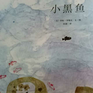 《小黑鱼》